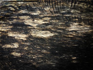 Çalışma ve tasarım için güzel ahşap desen arkaplanı