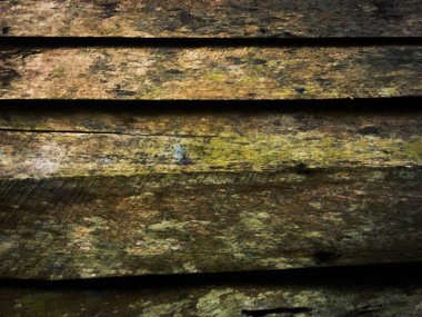 Tasarım için ahşap doku duvar arkaplanı. yakın plan görünümü