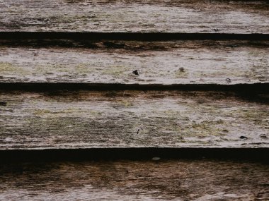 eski ahşap doku arka plan tasarımı için