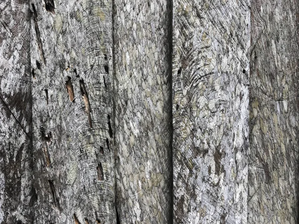 Altes Holz Textur Hintergrund Für Design — Stockfoto