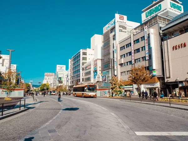 Narita Japão Dezembro 2019 Bela Cidade Japão — Fotografia de Stock