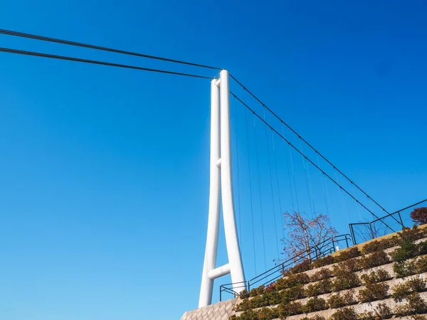 Piękny Skywalk Mishima Niebieskim Niebem Japonii — Zdjęcie stockowe