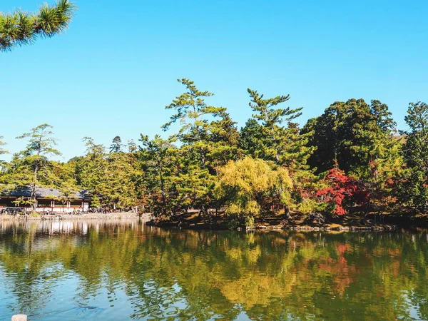 Vista Floresta Parque Japão Para Relaxar Com Céu Azul — Fotografia de Stock
