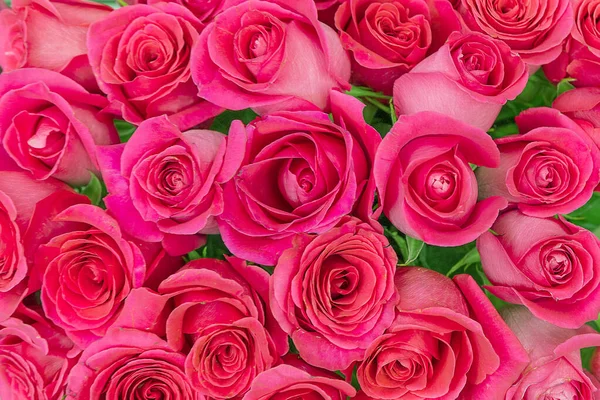 Bukiet Pięknych Czerwonych Róż Kontekst Zbliżenie — Zdjęcie stockowe