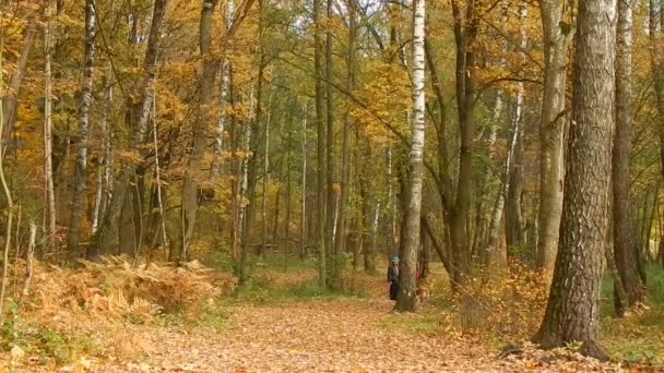 Yaşlı insanlar hayvanlarla sonbahar yaprak sonbaharda yürümek. — Stok video