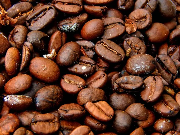 Kacang kopi goreng close-up — Stok Foto