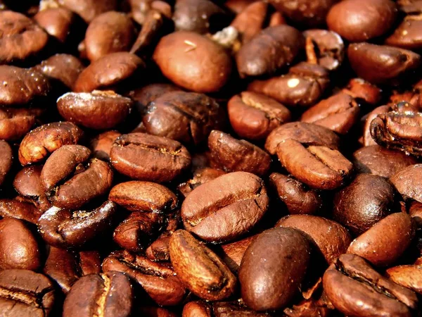 Жареные кофейные зерна крупным планом — стоковое фото