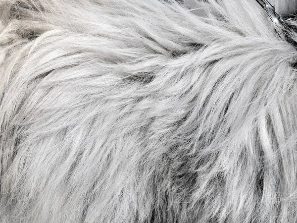 Текстура поверхности натуральной белой шерсти крупным планом — стоковое фото