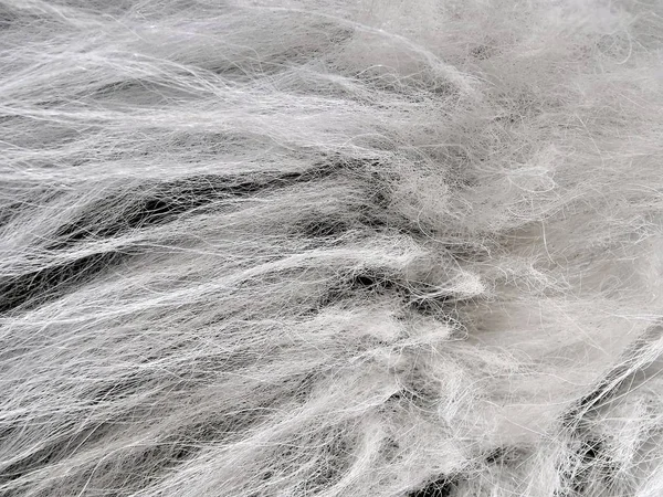 Текстура поверхности натуральной белой шерсти крупным планом — стоковое фото