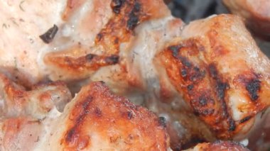 Kömür duman closeup ile üzerinde kızarmış kebap