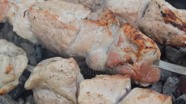 Kebab frito sobre carbón vegetal con humo de cerca — Vídeos de Stock