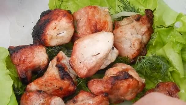Gebratener Kebab mit Salat in Nahaufnahme — Stockvideo
