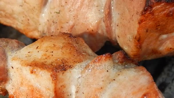 Fried kebab on charcoal with smoke closeup — Stock Video