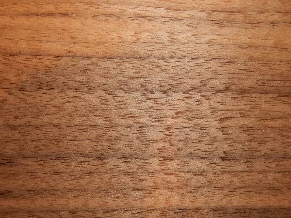 Textura de una superficie de madera de un nogal americano. Chapa de madera para muebles — Foto de Stock