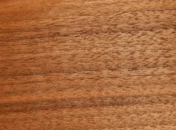 Textura de una superficie de madera de un nogal americano. Chapa de madera para muebles — Foto de Stock
