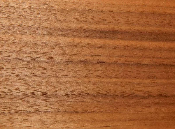 Amerikan ceviz ağacının bir ahşap yüzey dokusu. Furnitur için ahşap kaplama