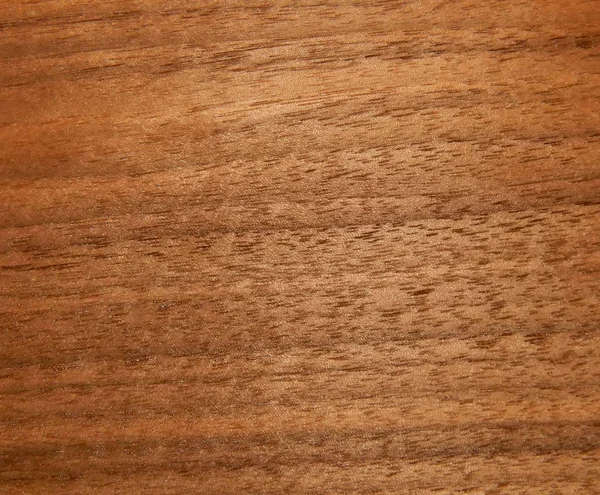 Textura de una superficie de madera de un nogal americano. Chapa de madera para muebles — Foto de Stock