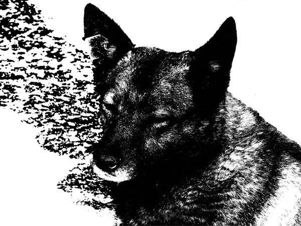 石炭と犬のシルエットが描かれました。 — ストック写真