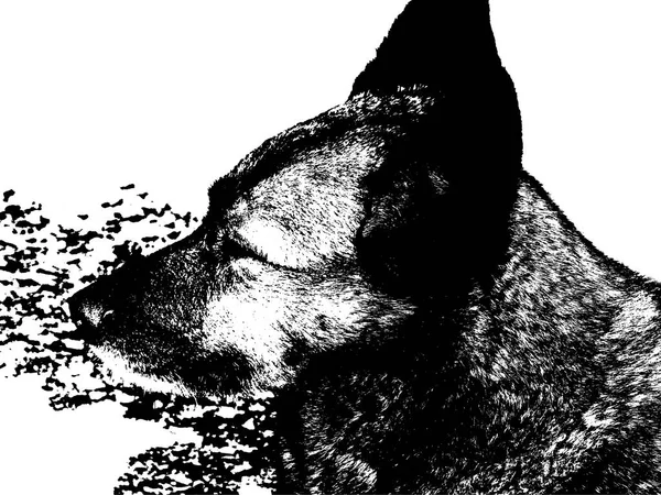 Silhouet van een hond die is geschilderd met kolen — Stockfoto
