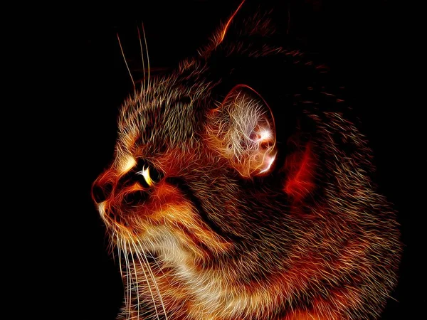 Illustrazione Immagine Gatto Domestico Colore Neon — Foto Stock