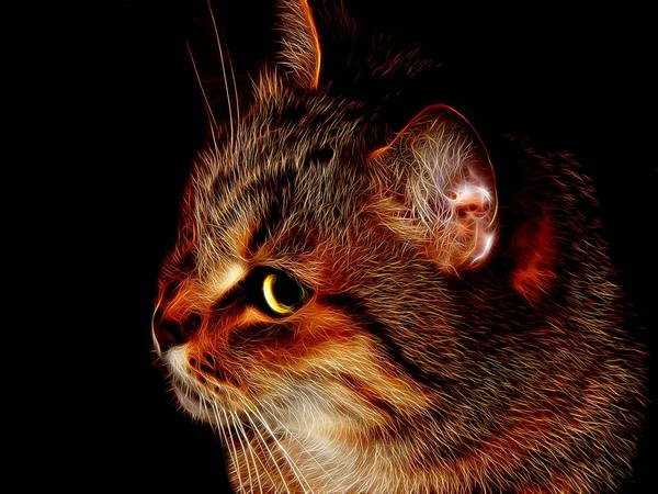 Illustrazione Immagine Gatto Domestico Colore Neon — Foto Stock