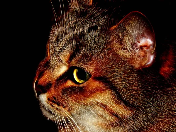 Иллюстрация Фото Домашней Кошки Неоновом Цвете — стоковое фото