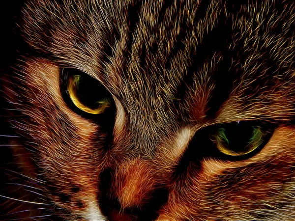 Illustrazione Immagine Gatto Domestico Colore Neon — Foto Stock