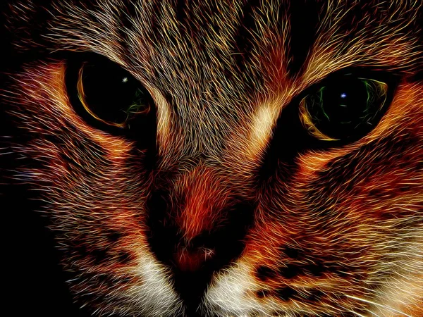 Ілюстрація Картина Домашньої Кішки Неоновому Кольорі — стокове фото