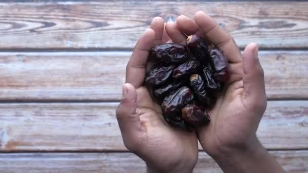 Top view of date fruit on man hand — Stock Video