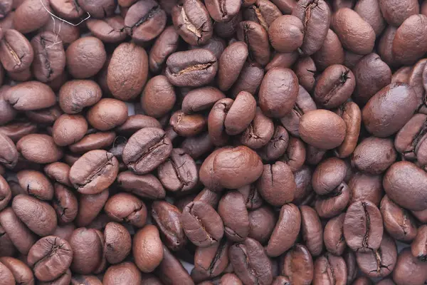 Gros plan de grains de café crus et frais — Photo