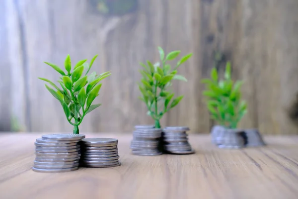 Primer plano de las plantas jóvenes que crecen a través de monedas, inversiones — Foto de Stock