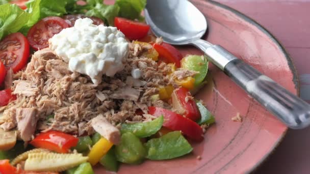 Nahaufnahme von Salat und Thunfisch auf dem Teller — Stockvideo