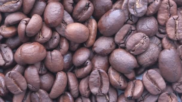 Close up of fresh and raw coffee beans, top view — Stock Video