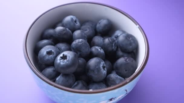 Close up of fresh blue berry in a bowl on color background — Stock Video