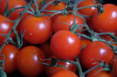 Kirazlı domatesi bir fiyonkta yakın. 