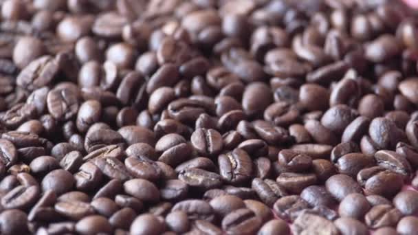 Friss és nyers kávébab közelsége — Stock videók