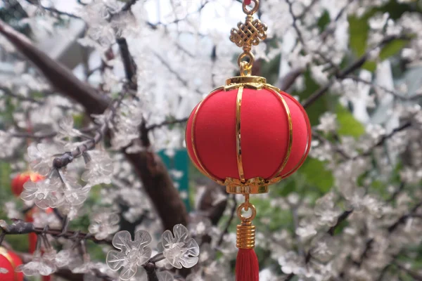 Çin kırmızı feneri ağaca el uzatıyor. Çin Yeni Mutluluk Yılı — Stok fotoğraf