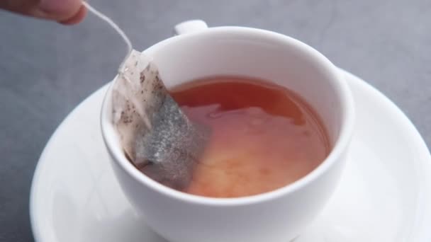 Close up of tea bag in green tea — Stock Video