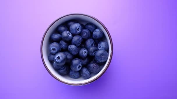 Top view of blue berry in a bowl on purple background — Stock video