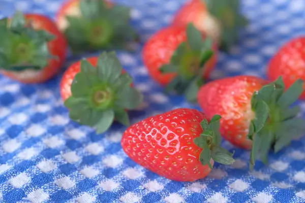 Großaufnahme von frischen Erdbeeren auf Tischdecke — Stockfoto