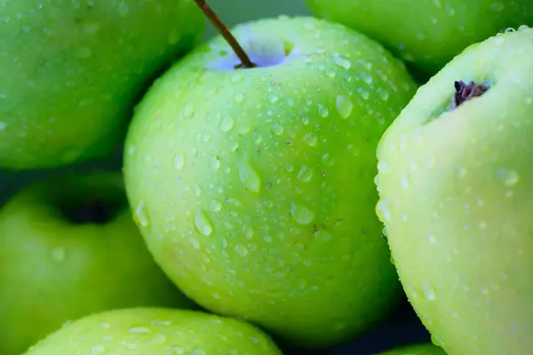 Närbild av färska gröna äpple med ätare droppar — Stockfoto