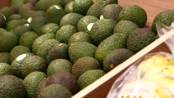 Primer plano de la exhibición de aguacate para la venta . — Vídeos de Stock