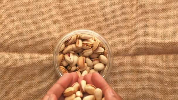 Gros plan sur les pistaches à portée de main, manger sainement — Video