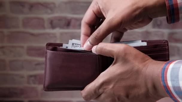 Mãos de obra jovens contando notas de dólar na carteira . — Vídeo de Stock