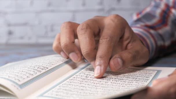 Nahaufnahme des Mannes Hand Lesen Stechpalme quran. — Stockvideo