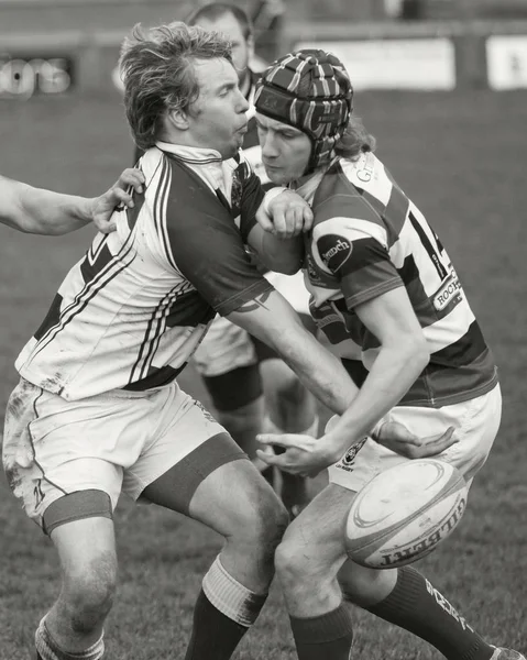 Unidentified rugby union players contest the ball in a second team match between Penrith and Liverpool St Helens, at Winters Park, Penrith, Cumbria in northern England.