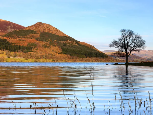 Bassenthwaite Göl Manzarası. Bassenthwaite Gölü 'nün karşısındaki İngiliz Lake District Ulusal Parkı manzarası..