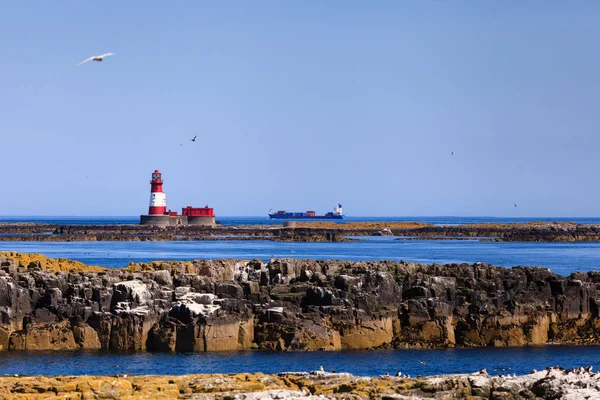 Barco Navega Más Allá Del Faro Longstone Las Islas Farne —  Fotos de Stock