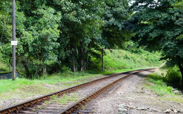 線路だ イングランド北部の保存鉄道上の空の鉄道線路 — ストック写真