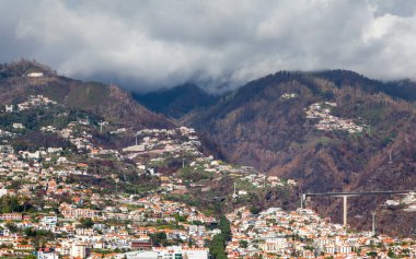 Funchal Hillside 'da. Portekiz 'in Madeira adasındaki Funchal tepesinde..